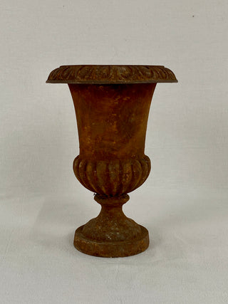 Early 20th Century French Medici Urn