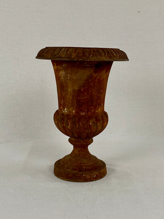 Early 20th Century French Medici Urn
