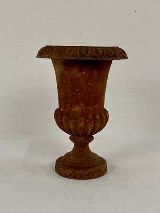 Early 20th Century French Medici Urn