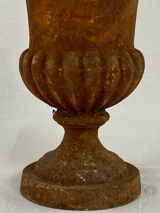 Early 20th Century French Medici Urn