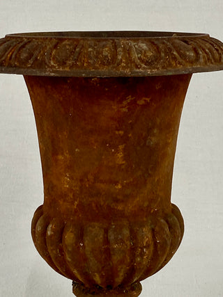 Early 20th Century French Medici Urn