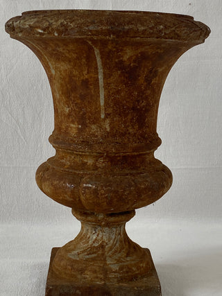 Early 20th Century French Medici Urn