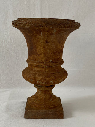Early 20th Century French Medici Urn