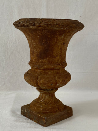 Early 20th Century French Medici Urn