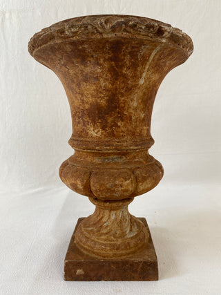 Early 20th Century French Medici Urn
