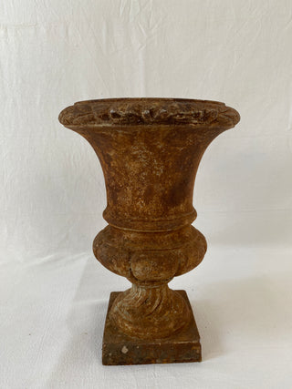 Early 20th Century French Medici Urn