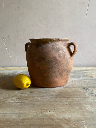 Antique French Terracotta Pot