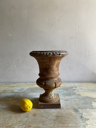 Early 20th Century French Medici Urn