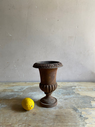 Early 20th Century French Medici Urn