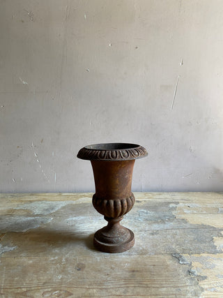 Early 20th Century French Medici Urn