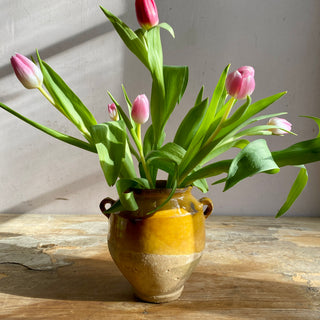 Antique Yellow Glazed Confit Pot - Rare Smaller Size