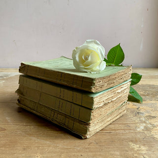 Set Of Four Antique French Books