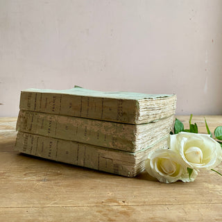 Set Of Three Antique French Books