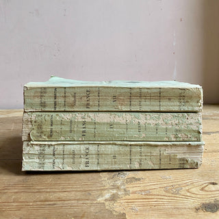Set Of Three Antique French Books