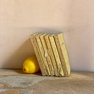 Set Of Six Antique French Books from 1860 & 1861