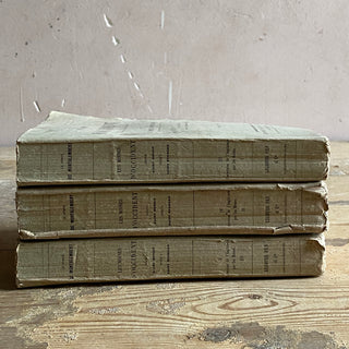 Trio of Antique French Books - From 1868