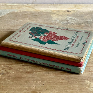 Trio of Vintage French Children Books