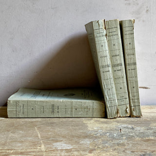 Set Of Four Antique French Military Books