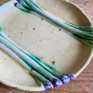 Antique French Majolica Asparagus Plate