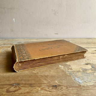 Antique French Postcard Album