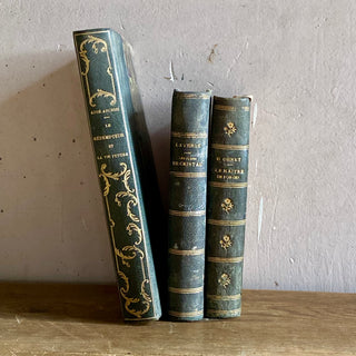 Trio of Antique French Books - Dated 1877 & 1882