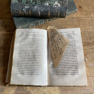 Trio of Antique French Books - Dated 1877 & 1882