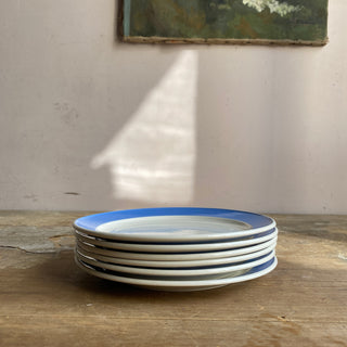 Set Of Six Vintage French Villeroy & Boch Plates