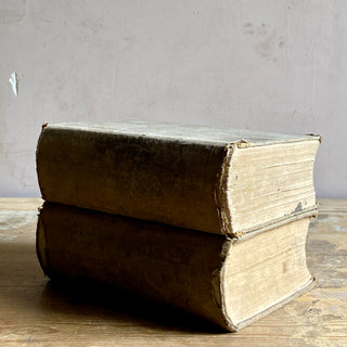 Pair of Antique French-Latin School Dictionaries Dated 1881