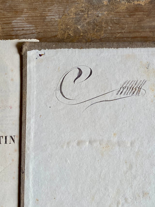 Pair of Antique French-Latin School Dictionaries Dated 1881